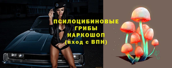 герыч Алзамай