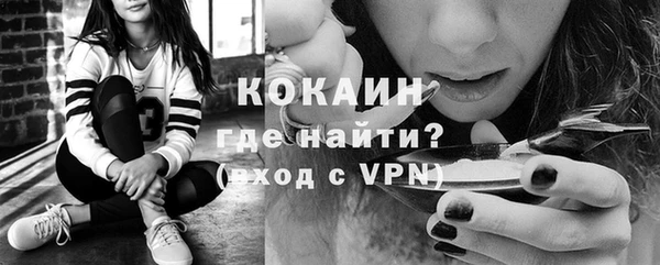 соль курить ск Новодвинск